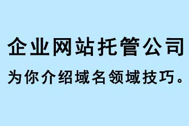 企業(yè)網(wǎng)站托管公司為你介紹域名領域技巧