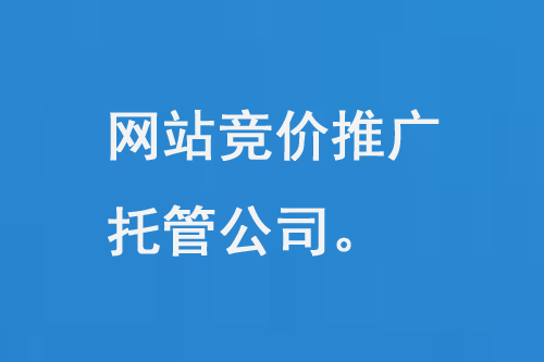 網(wǎng)站競價推廣托管公司